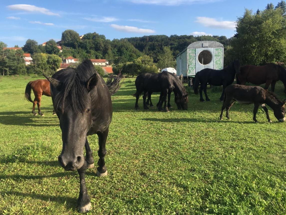Stribrna Skalice Glamping - Stylova Maringotka V Srdci Ladova Kraje, Pobliz Hlavniho Mesta Prahy מראה חיצוני תמונה