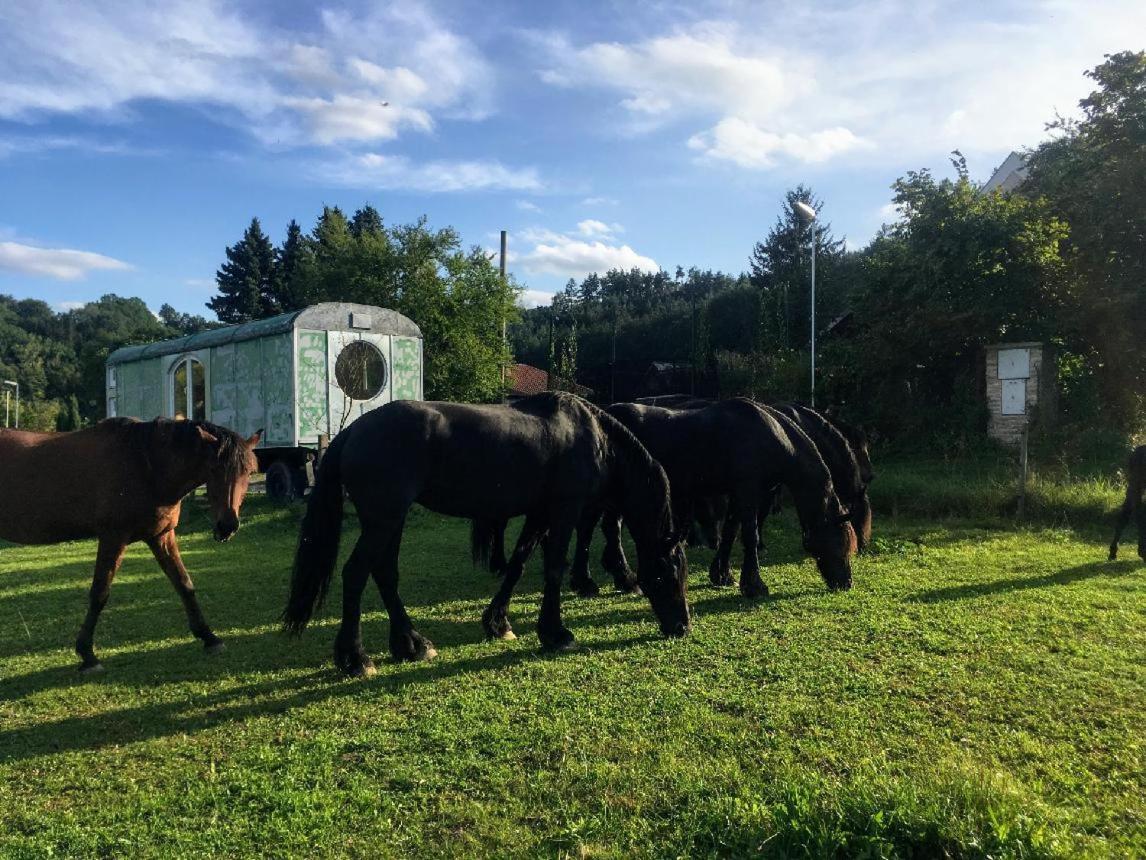 Stribrna Skalice Glamping - Stylova Maringotka V Srdci Ladova Kraje, Pobliz Hlavniho Mesta Prahy מראה חיצוני תמונה