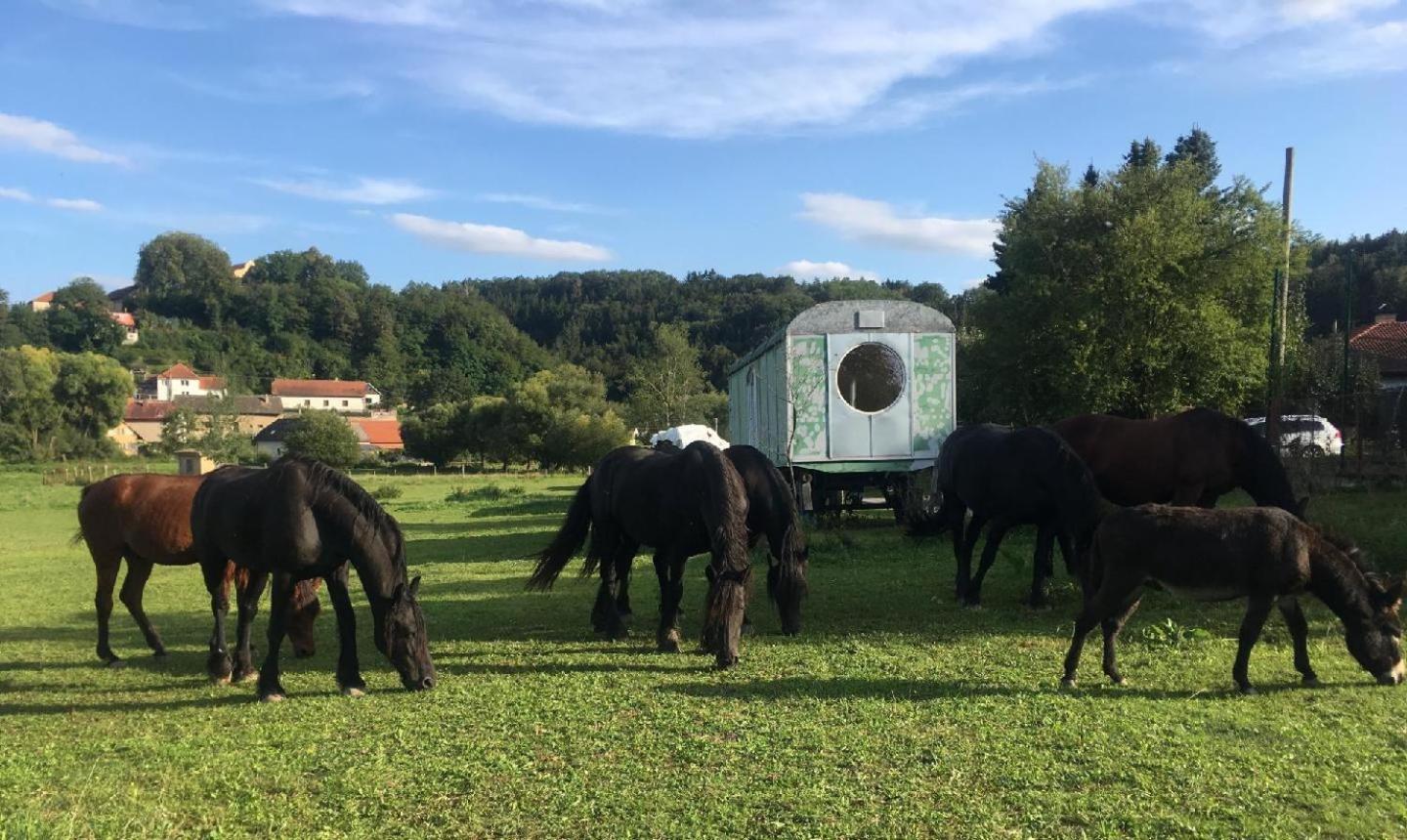 Stribrna Skalice Glamping - Stylova Maringotka V Srdci Ladova Kraje, Pobliz Hlavniho Mesta Prahy מראה חיצוני תמונה